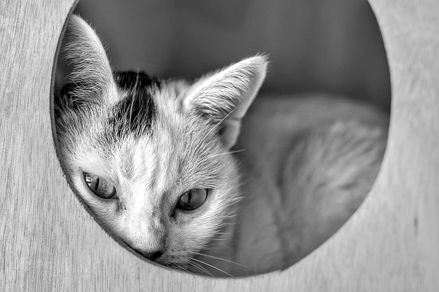 materiały edukacyjne finanse osobiste w Polsce poradniki i biała księga