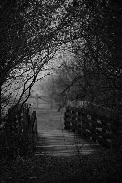 analiza finansowa i edukacja finansowa w Polsce studia przypadków